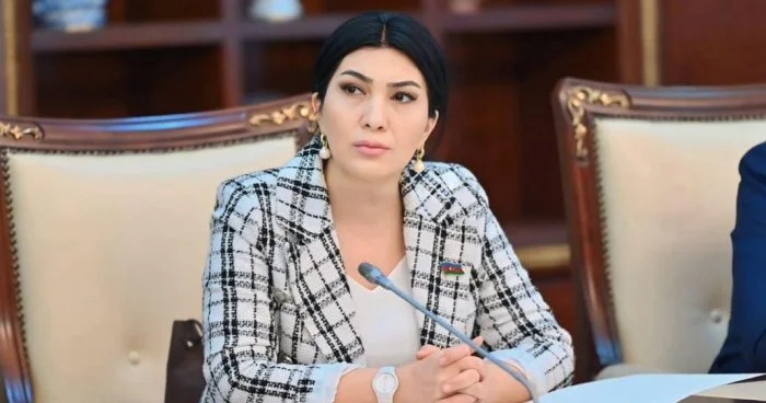 Azərbaycanın taleyində yeni səhifə
