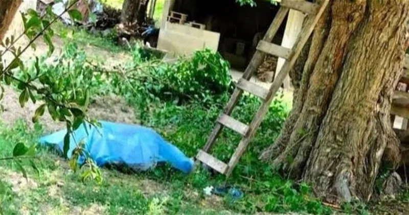 В Губе мужчина разбился, упав с дерева