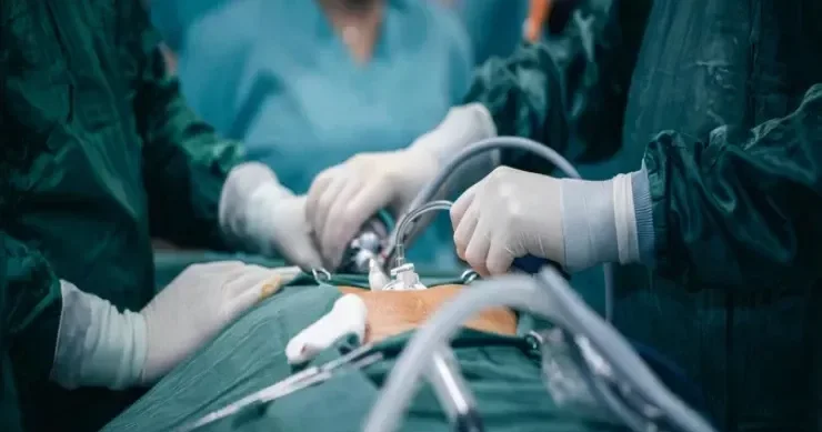 35 yaşlı kişinin bədənindən çıxanlar həkimləri ŞOKA SALDI