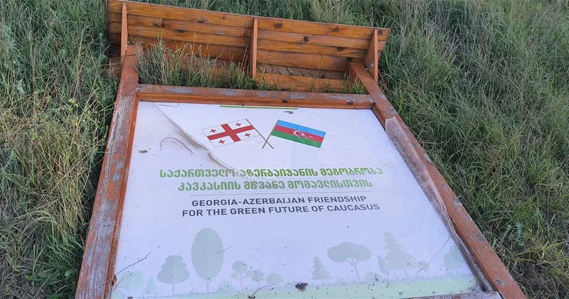 В Тбилиси опрокинули стенд с флагом Азербайджана ФОТО