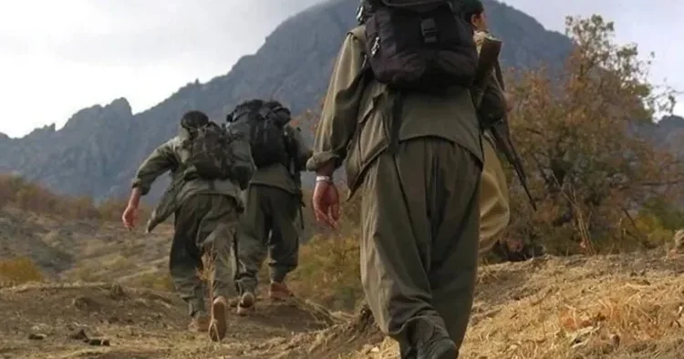 PKK nın Türkiyə ərazisindən çıxması qardaş ölkənin böyük bir uğurudur Hərbi ekspert