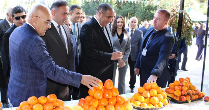 Dünən festivalda idi, bu gün isə... Fotolar