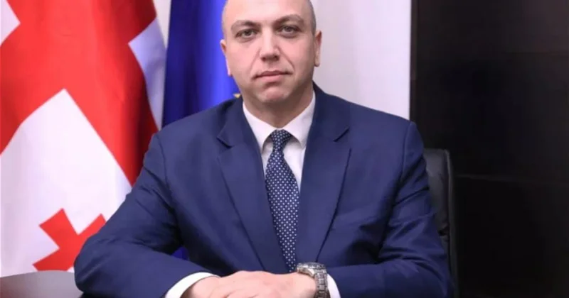 Gürcüstanda keçmiş nazir müavini həbs edildi: Sabiq nazirin evində axtarış aparıldı