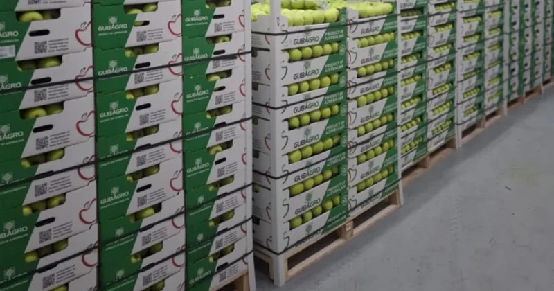 В Азербайджане уничтожат предназначенную для экспорта в Турцию партию яблок Minval Politika