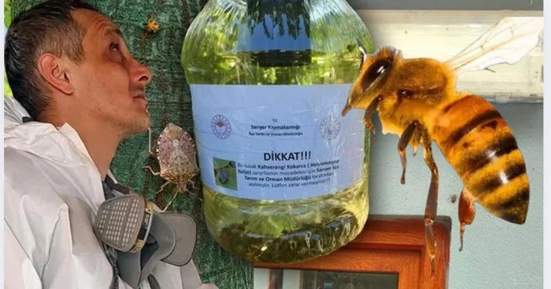 10 min “Samuray arısı” təbiətə buraxıldı FOTO