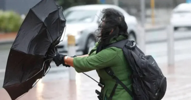 Bakıda FACİƏ: güclü külək ağacı insanların üstünə aşırdı, yaralılar var