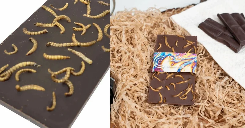 Azərbaycanda mağazada qurdlu şokolad satılacaq? Açıqlama