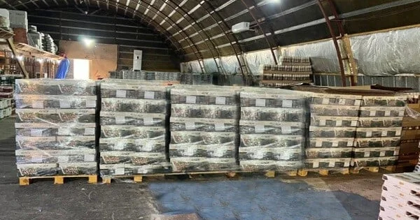 Türkiyədən gətirilən antep fıstığında uyğunsuzluq aşkarlandı KONKRET