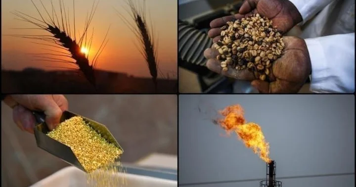 Dünya Bankı qızılın bahalaşacağını, neftin isə ucuzlaşacağını gözləyir