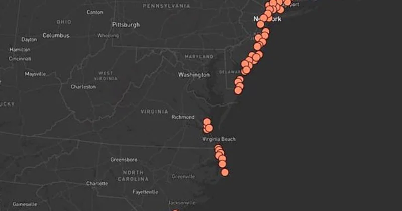 ABŞ sahillərində anomal sualtı obyektlər qeydə alınıb