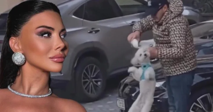 Aysel itə qəddarlıq edən şəxsin videosunu paylaşdı