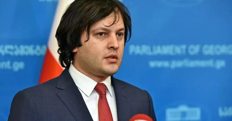 Кобахидзе о необходимости запрета трех оппозиционных партий в Грузии