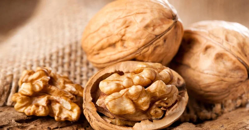 Gündə bir ovuc qoz yeyin Beyni gücləndirir