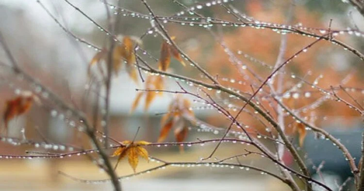 Дождливая и ветреная погода сохранится в стране до вечера