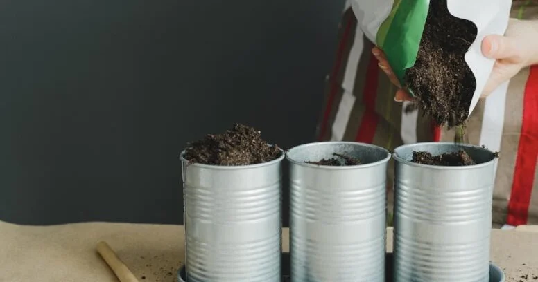 Nə bağ, nə də torpaq tələb etmir: Bir dəfə ək, il boyu məhsul yığ