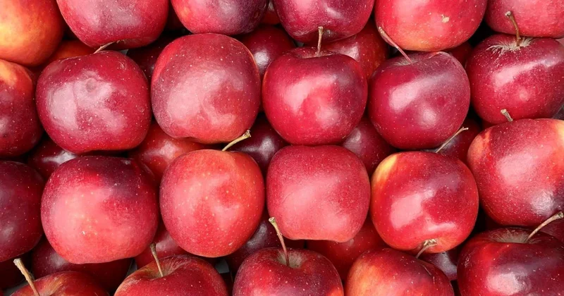 İlkin Həsənovun 163,4 ton alması MƏHV EDİLƏCƏK