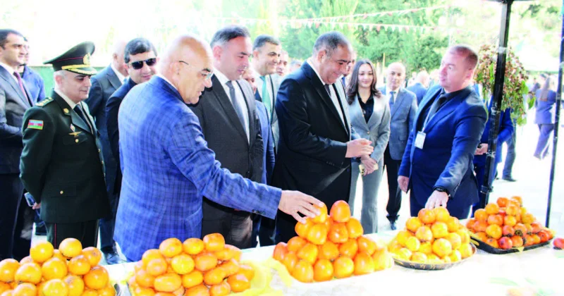 Balakəndə Xurma festivalı