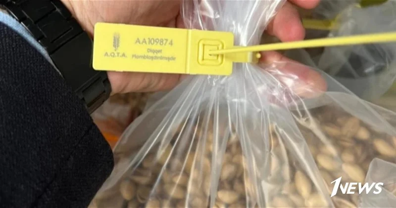 В Азербайджане уничтожат тонны турецких фисташек