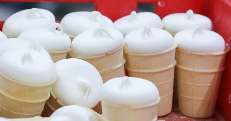 Российское мороженое попало под запрет в Беларуси: ПРИЧИНА