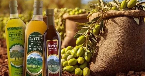 Zeytun yağlarının hansı daha KEYFİYYƏTLİDİR? ARAŞDIRMA