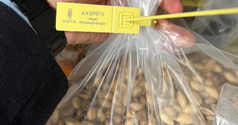 Azərbaycana gətirilən 6.12 ton antep fıstığı məhv ediləcək Fotolar