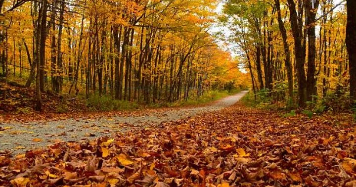 Oktyabrın 31 də gözlənilən hava şəraiti