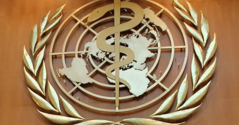 ÜST: İqlim fəaliyyətsizliyi hər il milyonlarla insanın ölümünə səbəb olur