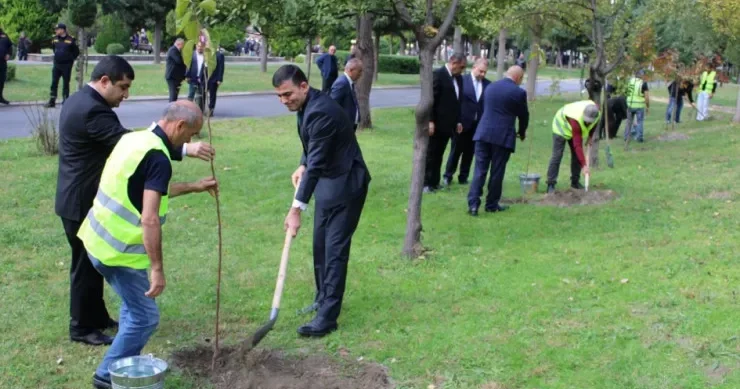 Həbs olunan icra başçısının SON GÖRÜNTÜLƏRİ: dünən xurma ağacı əkibmiş FOTOLAR