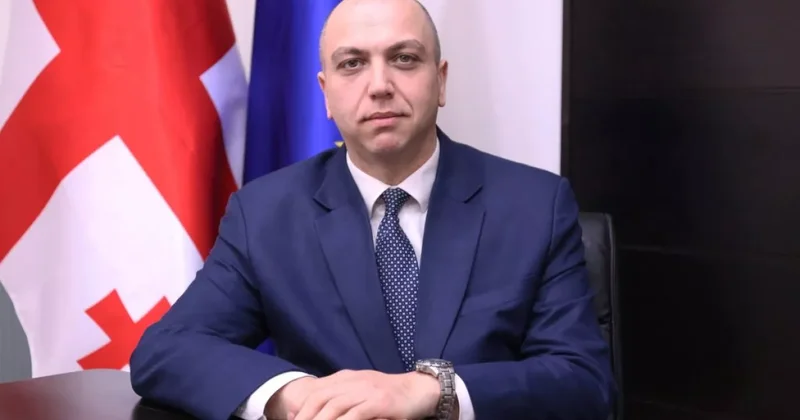 В доме грузинского экс министра прошел обыск