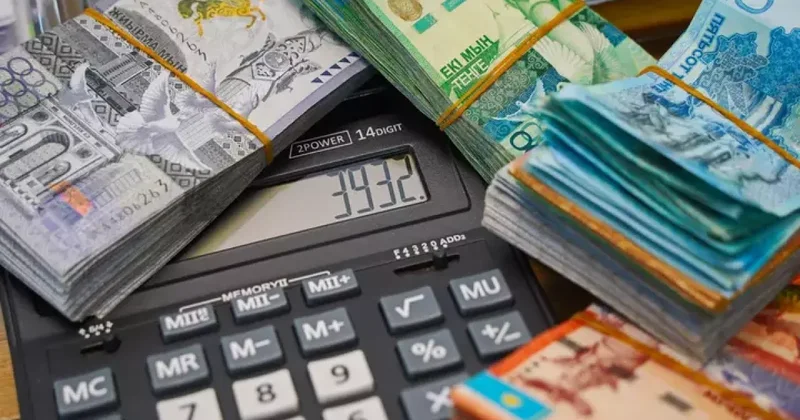 Тысячи граждан Казахстана безвозмездно получили миллионы на бизнес: ПОДРОБНОСТИ