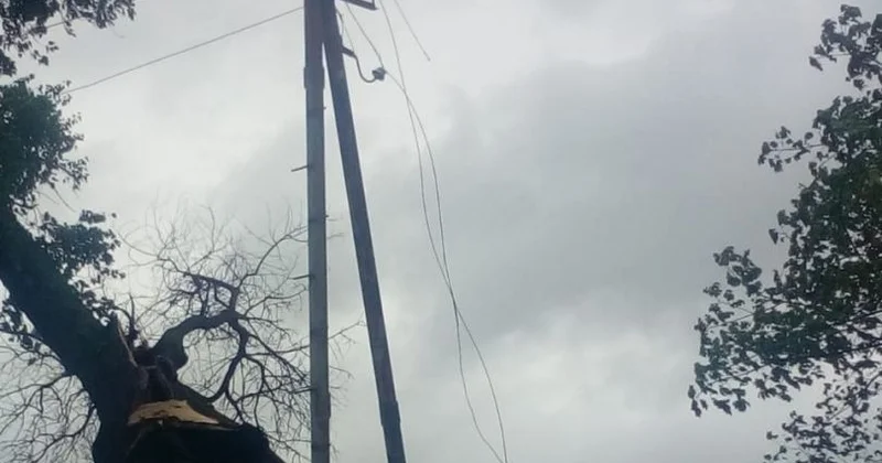 Goranboyda güclü külək bir sıra fəsadlar yaradıb