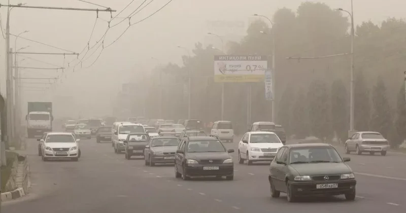 Таджикистан на несколько дней охватит сильная пыльная буря
