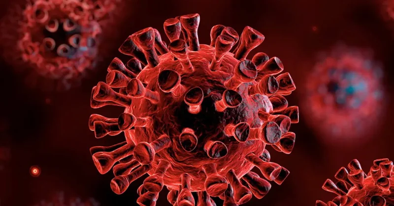 Rusiyada bildiriblər ki, Braziliyada aşkarlanan yeni koronavirusun insana ötürülməsi riski azdır