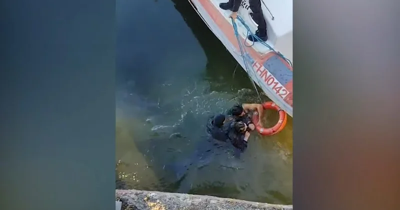 Сотрудники МЧС спасли Шихалиевых, тонущих на бульваре Minval Politika