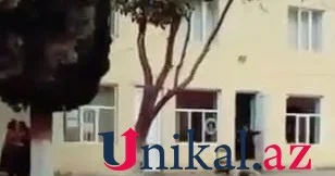 Goranboyda xadiməni iş dişlədi