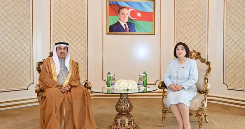 Milli Məclis və BƏƏ Federal Milli Şurasının sədrlərinin görüşü olub