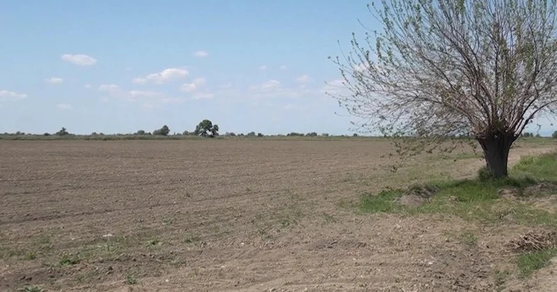Əkinlər susuz qalır, vəsaitlər itib gedir AKTUAL