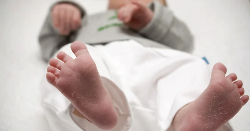 Полиция обнаружила в доме американки тела четырех младенцев