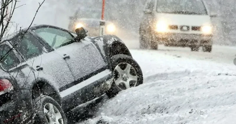Губу и Гусар засыпало снегом: ФОТО