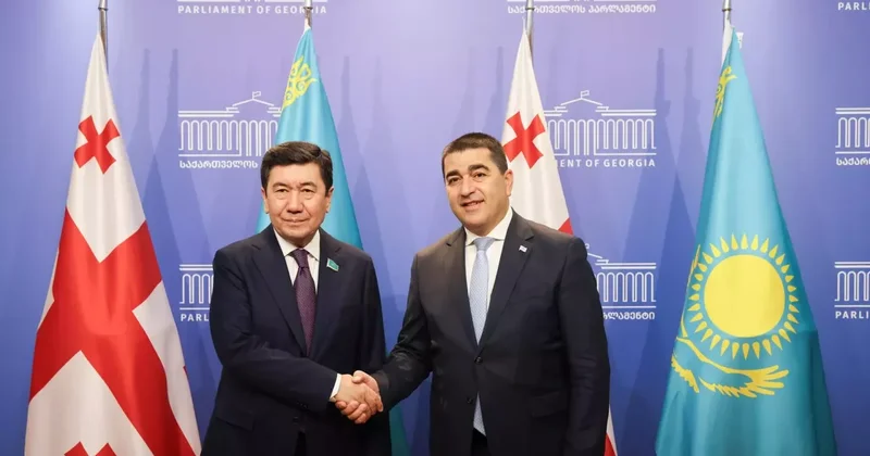 Грузия и Казахстан обсудили возможности укрепления парламентских связей