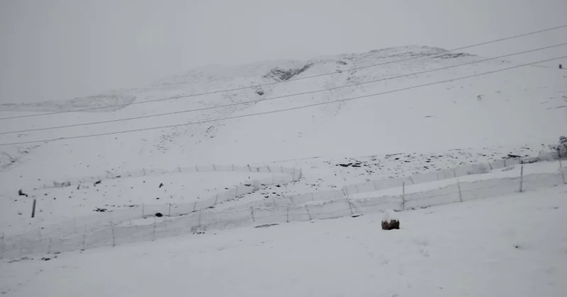 Qubada və Qusarda bu ilin ilk güclü qarı yağdı