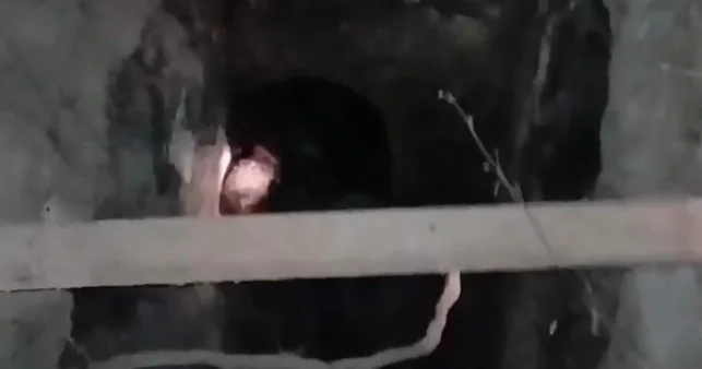 65 yaşlı kişi quyuya düşdü Foto