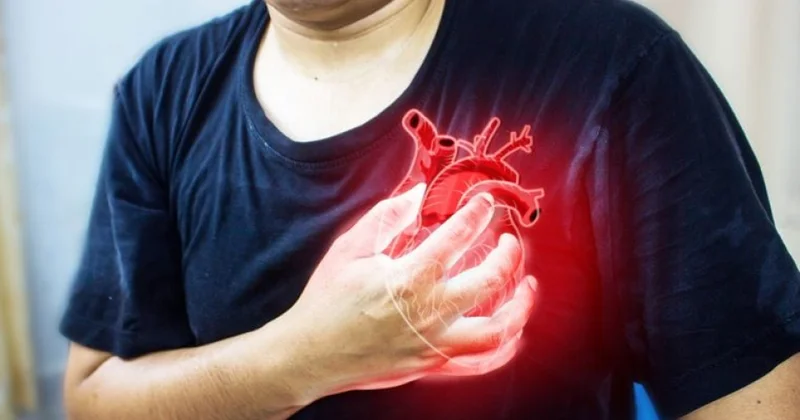 Alimlər infarktdan sonra ürəkdə deşiklər yaradan zülal kəşf ediblər