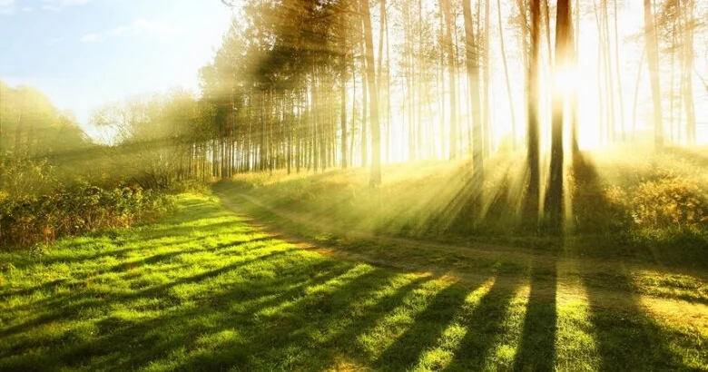 Sabahın hava proqnozu açıqlanıb