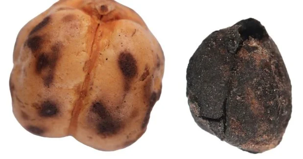 Qədimdən bu günə qədər gələn Türkiyə çörək irsi FOTOLAR