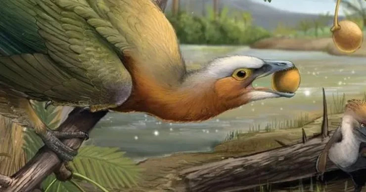 Yeni dinozavr növü aşkarlandı: Meyvə ilə qidalanırmış
