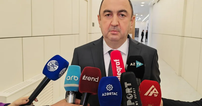 Vüqar Kərimov: Cəbrayıl ərazisində beynəlxalq meşə təlim və tingçilik mərkəzi tikilib