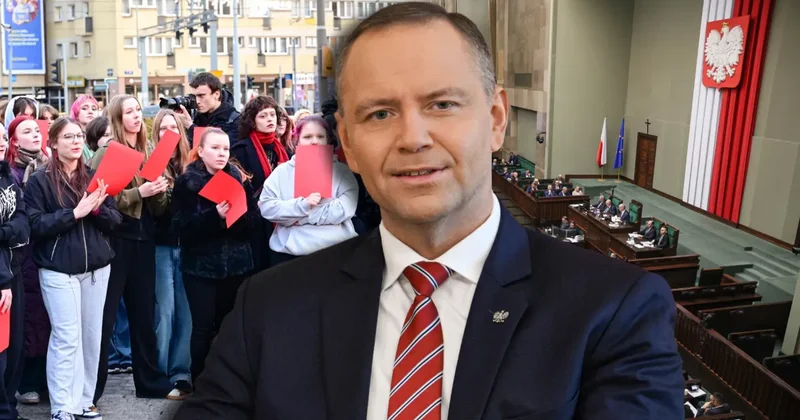 Поляки за легальные аборты