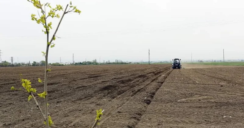 Minalardan təmizlənmiş sahələrdə torpaqların münbitlik potensialı yüksəkdir