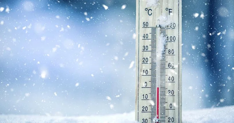 Alimlər soyuq temperaturun ömrü uzatmağa kömək edə biləcəyini müəyyənləşdiriblər